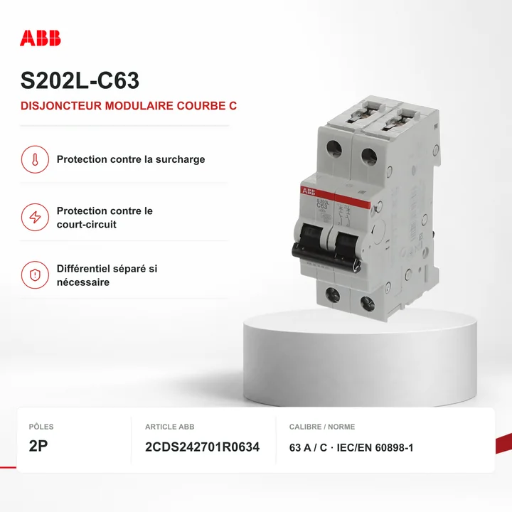 Disjoncteur ABB S202L-C63 2P courbe C